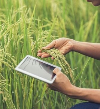 Optimizando la gestión agrícola con la precisión de la era digital