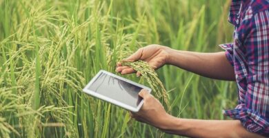 Optimizando la gestión agrícola con la precisión de la era digital 4 Optimizando la gestión agrícola con la precisión de la era digital