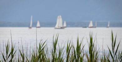 Actividades deportivas y al aire libre junto al mar en Barcelona 8 Actividades deportivas y al aire libre junto al mar en Barcelona