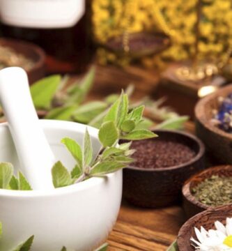 Plantas medicinales que deberías conocer: remedios naturales para tu bienestar diario