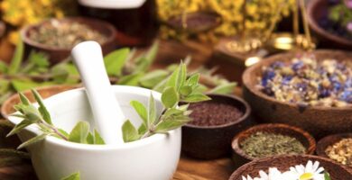 Plantas medicinales que deberías conocer: remedios naturales para tu bienestar diario 9 Plantas medicinales que deberías conocer: remedios naturales para tu bienestar diario