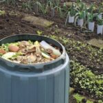 Transforma tu agricultura hacia la sostenibilidad con nutrientes naturales que regeneran suelos y protegen ecosistemas