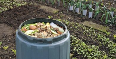 Transforma tu agricultura hacia la sostenibilidad con nutrientes naturales que regeneran suelos y protegen ecosistemas 5 Transforma tu agricultura hacia la sostenibilidad con nutrientes naturales que regeneran suelos y protegen ecosistemas