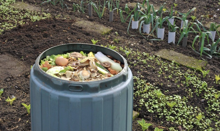 Transforma tu agricultura hacia la sostenibilidad con nutrientes naturales que regeneran suelos y protegen ecosistemas